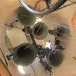 Concerto di Campane per i 500 Anni